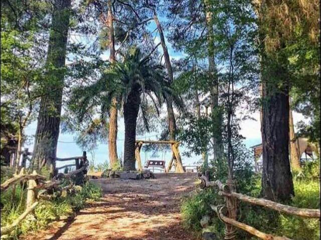 Emili Hotel Pizunda Bagian luar foto